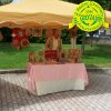 Festa_Primav_2011_bottega1